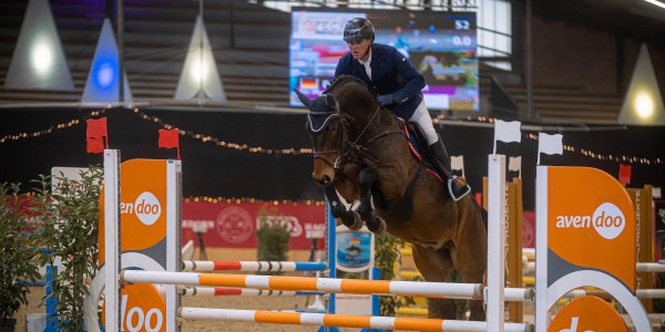 Successful young horse day in Paderborn